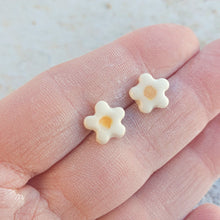 Load image into Gallery viewer, Stainless Steel stud Earrings