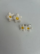 Load image into Gallery viewer, Stainless Steel stud Earrings
