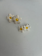 Load image into Gallery viewer, Stainless Steel stud Earrings
